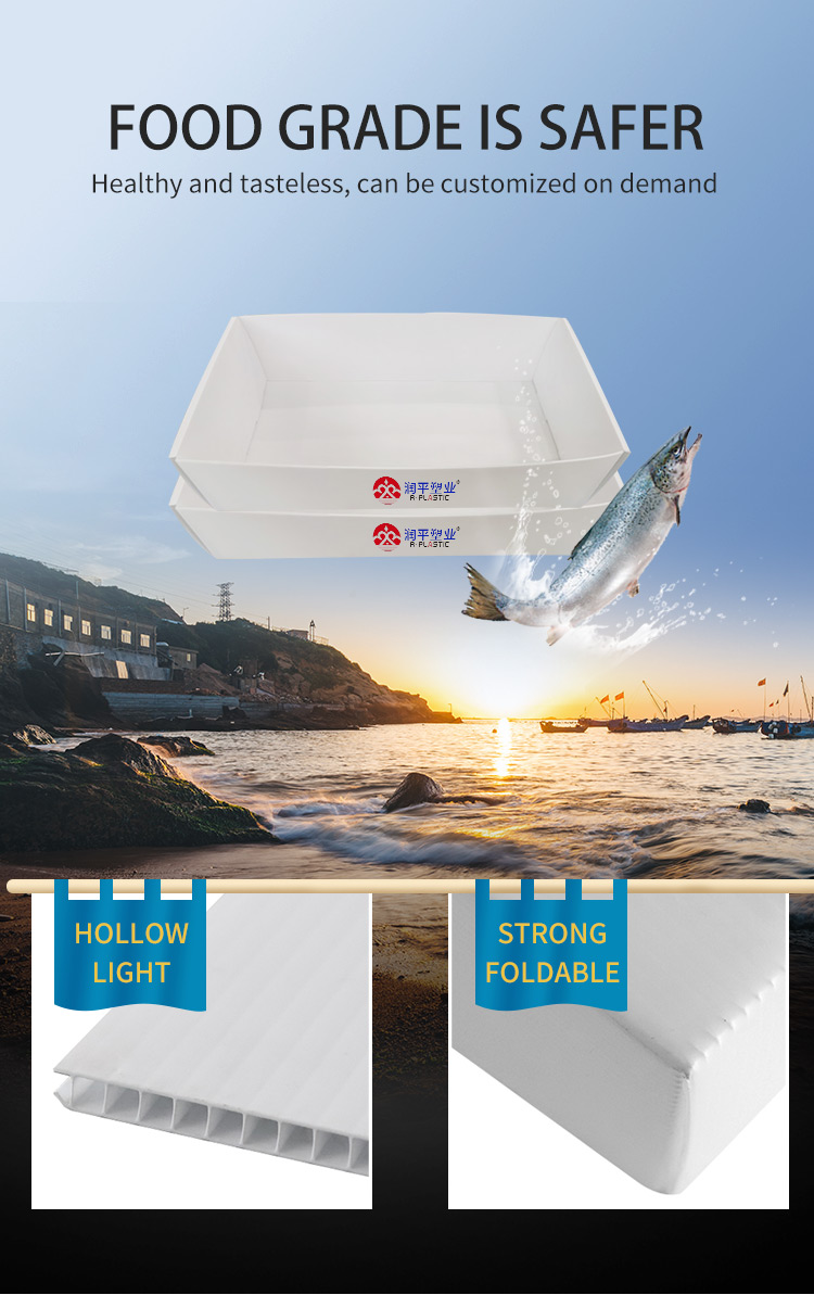 China plastic seafood box plastic fish box coroplast box poly carton pp  folding box Corrugated Plastic Pick Bins poly box Manufacturer and Supplier